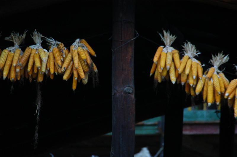 DSC_0012.JPG