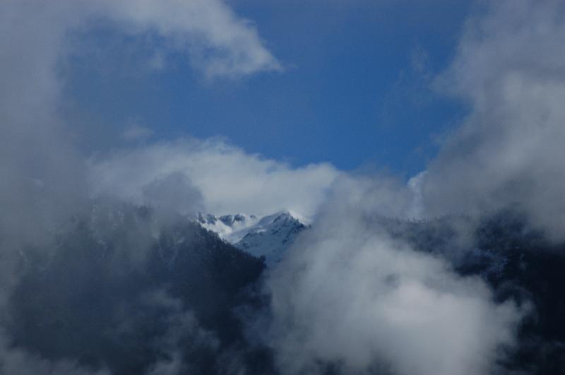 DSC_0379.JPG