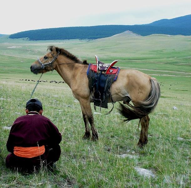 mong05__boy_horse_stepp.jpg