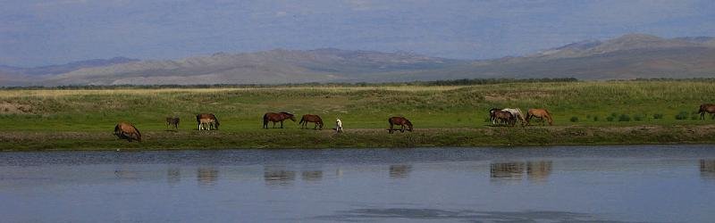 mong05__horses_by_river.jpg