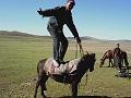 mong05__mongol_on_horse